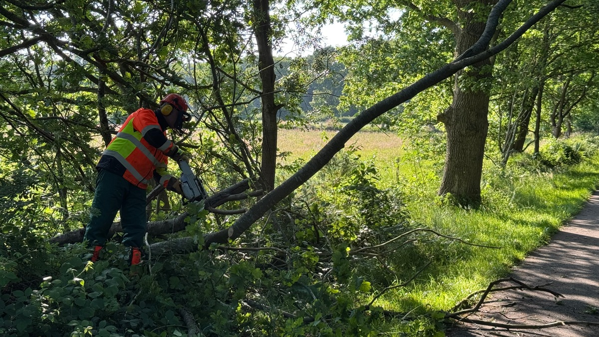 FW-AUR: Baum droht auf Radweg zu fallen - Foto: presseportal.de
