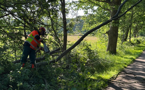 FW-AUR: Baum droht auf Radweg zu fallen - Foto: presseportal.de