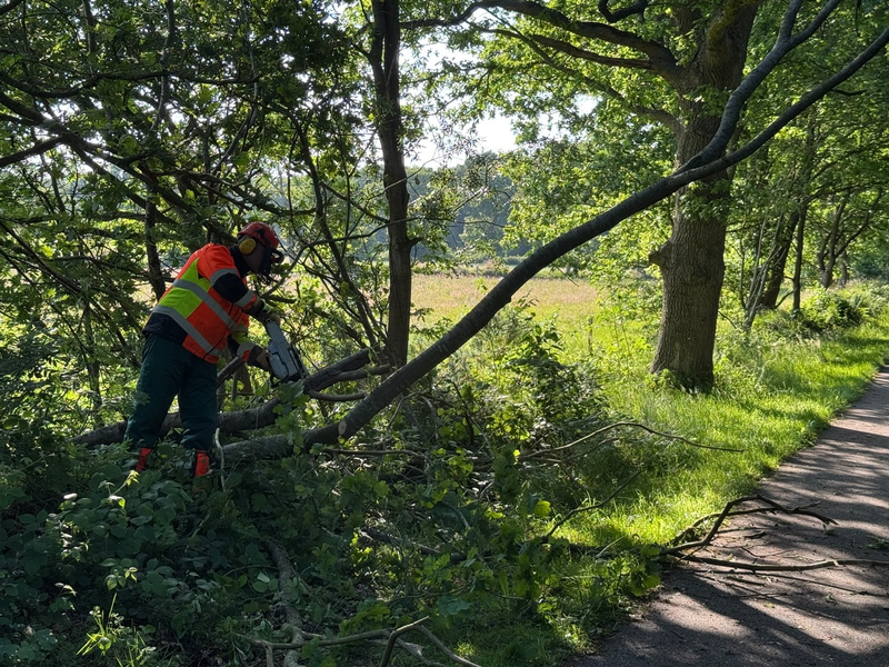 FW-AUR: Baum droht auf Radweg zu fallen - Foto: presseportal.de