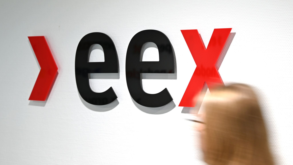 Eine Mitarbeiterin der Energiebörse EEX hat in der Marktsteuerung das aktuelle Handelsgeschehen im Blick.  - Foto: Elisa Schu/dpa