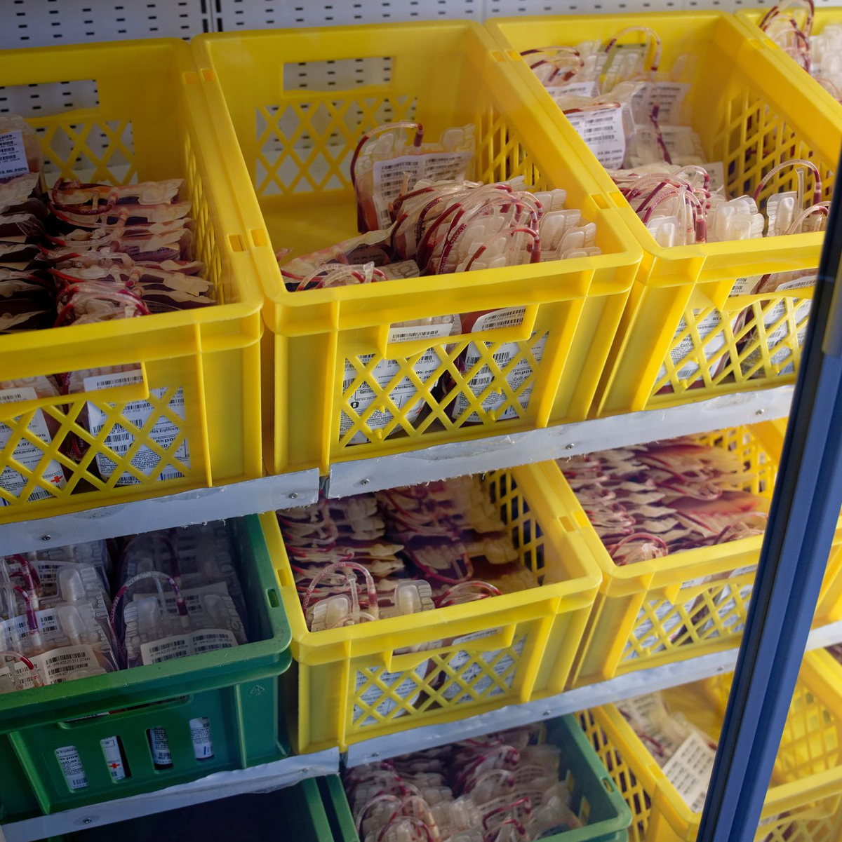 Die weißen Blutkörperchen (Leukozyten) werden im Zentrallabor des DRK-Blutspendedienstes aus den Blutkonserven herausgefiltert. - Foto: Henning Kaiser/dpa