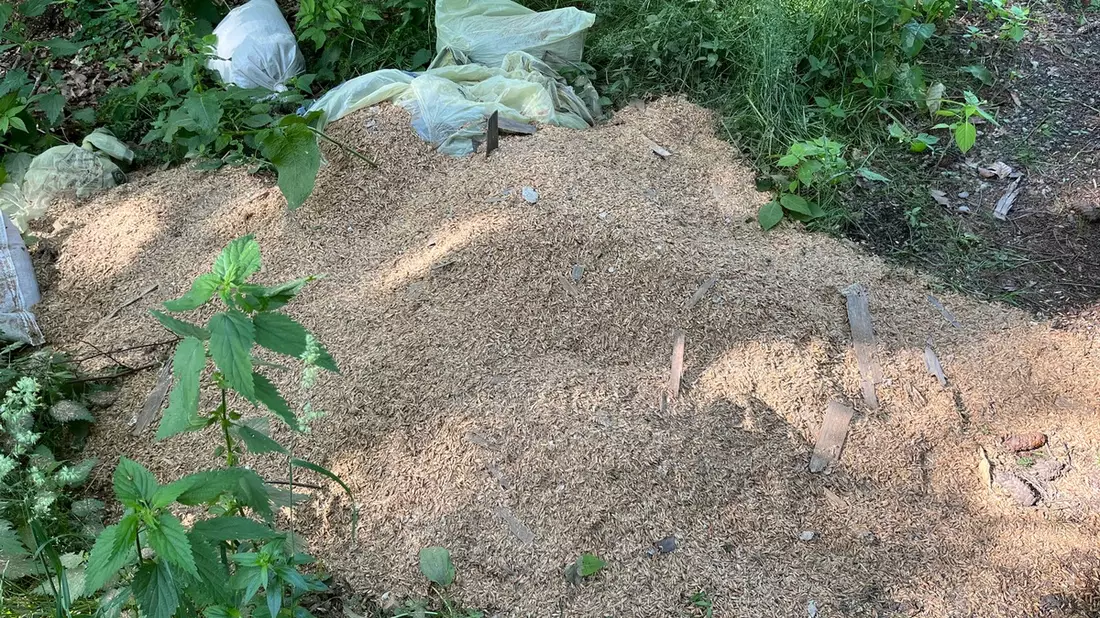 POL-UL: (BC) Hochdorf - Müll entsorgt / Mehrere Säcke mit Müll entdeckte ein Zeuge am Mittwoch in einem Wald bei Hochdorf. - Bild: presseportal.de