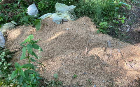 POL-UL: (BC) Hochdorf - MĂŒll entsorgt / Mehrere SĂ€cke mit MĂŒll entdeckte ein Zeuge am Mittwoch in einem Wald bei Hochdorf. - Foto: presseportal.de POL-UL: (BC) Hochdorf - MĂŒll entsorgt / Mehrere SĂ€cke mit MĂŒll entdeckte ein Zeuge am Mittwoch in einem Wald bei Hochdorf. - Foto: presseportal.de