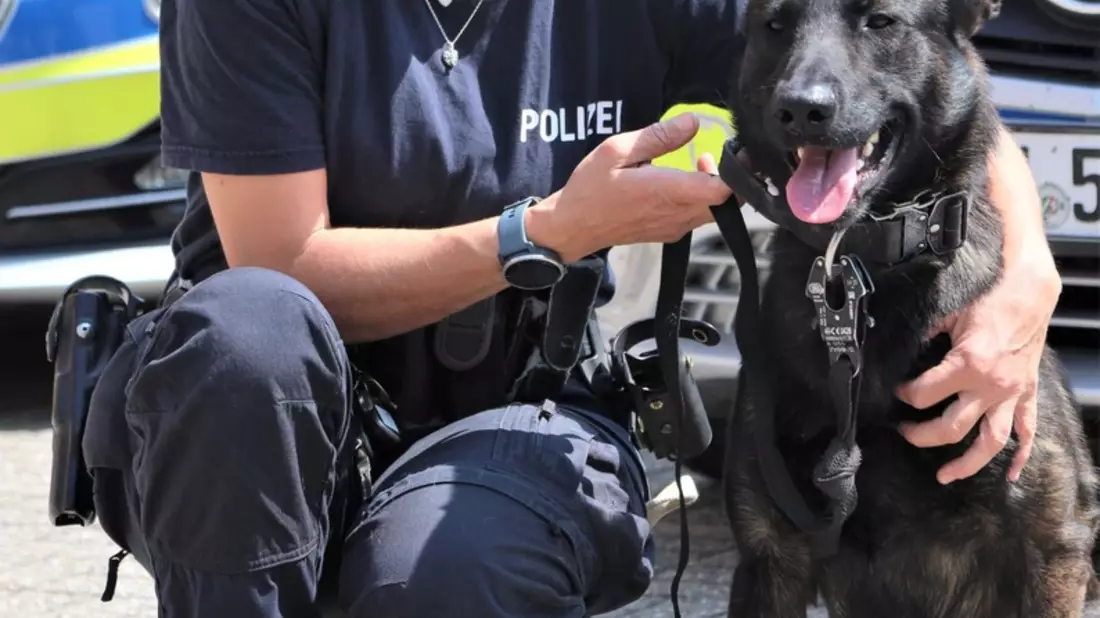 POL-VIE: Kreis Viersen: Ein guter Einstieg im Team der Viersener Diensthundestaffel - Bild: presseportal.de