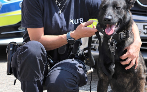 POL-VIE: Kreis Viersen: Ein guter Einstieg im Team der Viersener Diensthundestaffel - Foto: presseportal.de