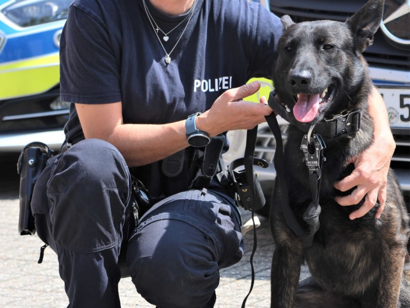 POL-VIE: Kreis Viersen: Ein guter Einstieg im Team der Viersener Diensthundestaffel - Foto: presseportal.de