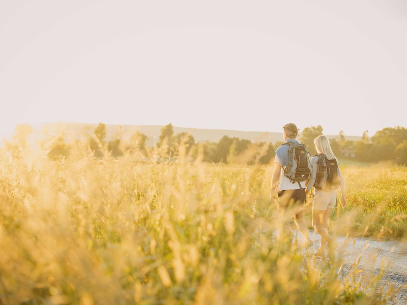 Die stille Revolution des Wanderns: Flachland und sanfte Hügel im Trend - Foto: presseportal.de