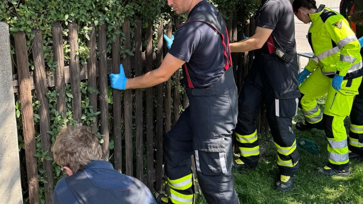 FW-M: Älterer Herr zwischen Hecke und Gartenzaun eingeklemmt (Pasing) - Foto: presseportal.de