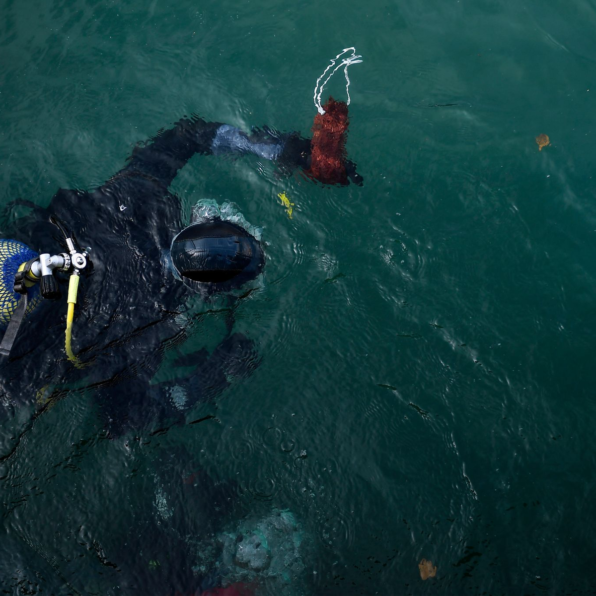 95 Staaten haben in Nizza strenge Regelungen beim Thema Plastik gefordert. (Archivbild) - Foto: Alvaro Barrientos/AP/dpa