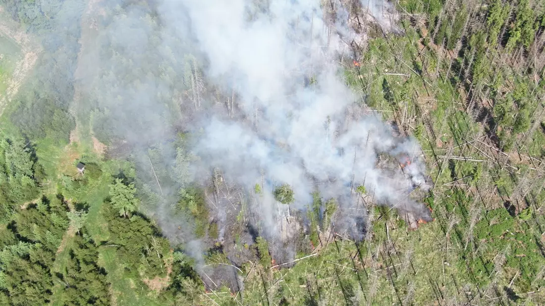 FW Kreis Soest: Waldbrand am Möhnesee - aktuell rund 300 Einsatzkräfte vor Ort - Bild: presseportal.de