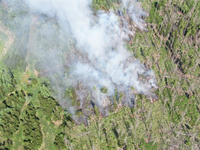 FW Kreis Soest: Waldbrand am Möhnesee - aktuell rund 300 Einsatzkräfte vor Ort - Foto: presseportal.de