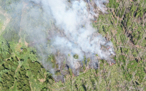 FW Kreis Soest: Waldbrand am Möhnesee - aktuell rund 300 Einsatzkräfte vor Ort - Foto: presseportal.de