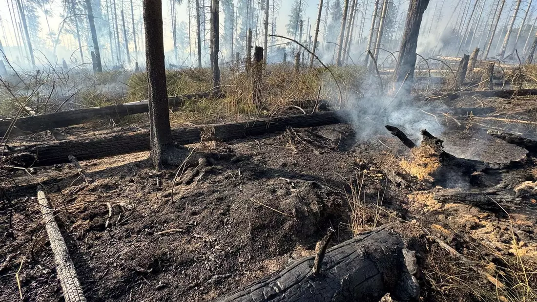 FW Kreis Soest: Erste Folgemeldung Waldbrand Möhnesee - Bild: presseportal.de