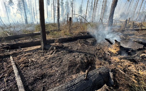 FW Kreis Soest: Erste Folgemeldung Waldbrand Möhnesee - Foto: presseportal.de
