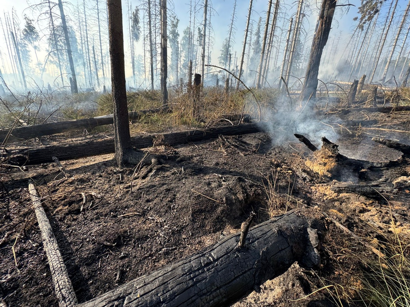 FW Kreis Soest: Erste Folgemeldung Waldbrand Möhnesee - Foto: presseportal.de