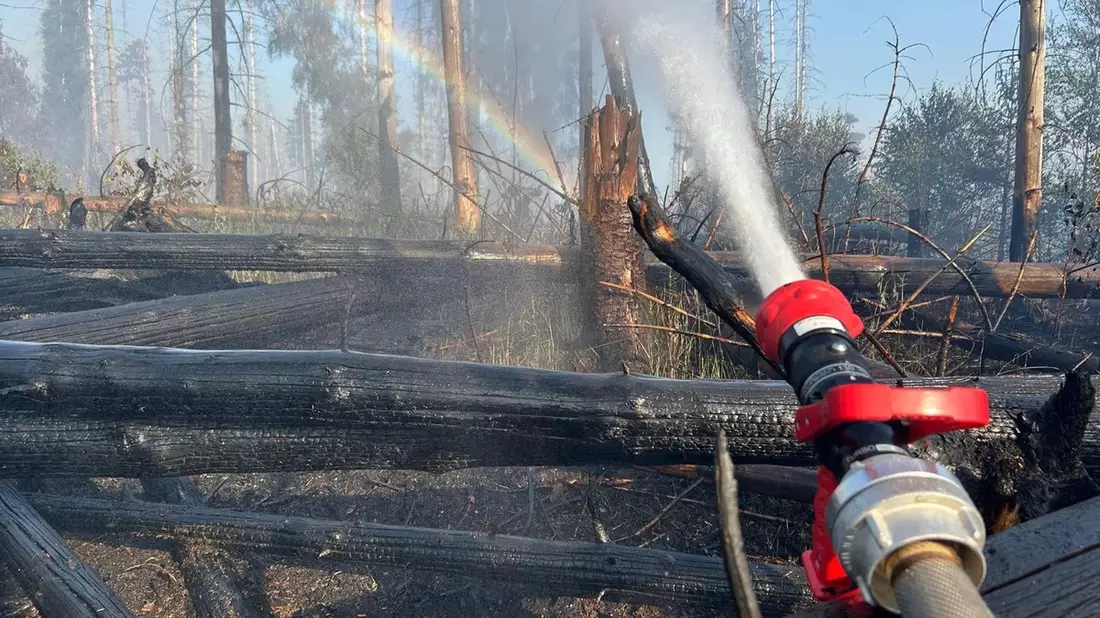 FW Kreis Soest: Zweite Folgemeldung zum Waldbrand in Möhnesee: Brand unter Kontrolle - Löscharbeiten dauern an - Bild: presseportal.de