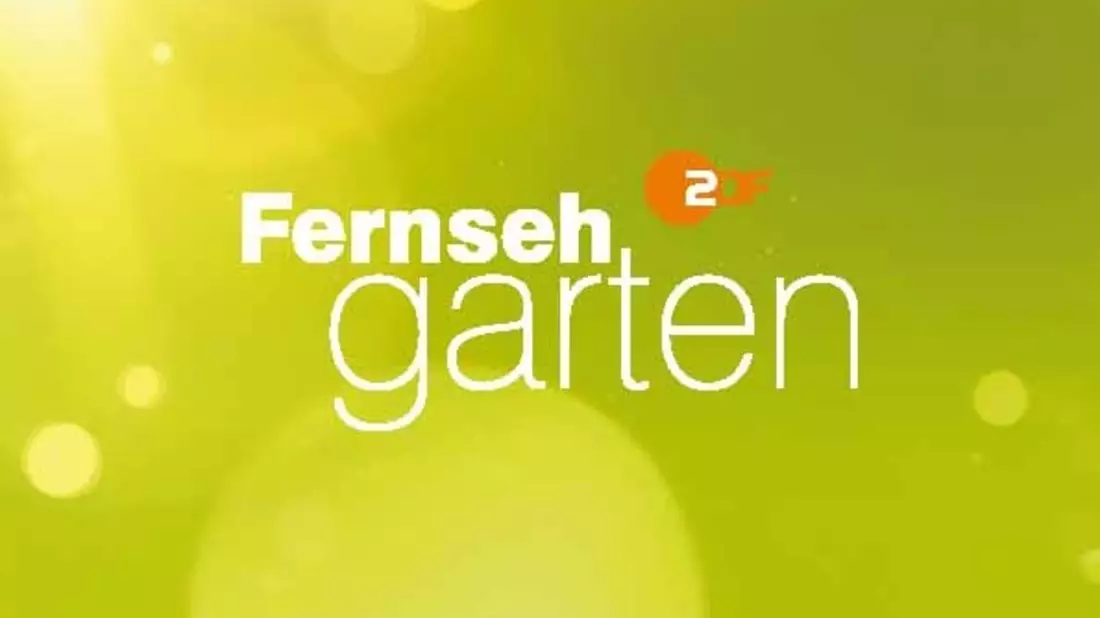 Joachim Llambi und Lutz van der Horst vertreten Andrea Kiewel im ZDF-Fernsehgarten - Bild: presseportal.de