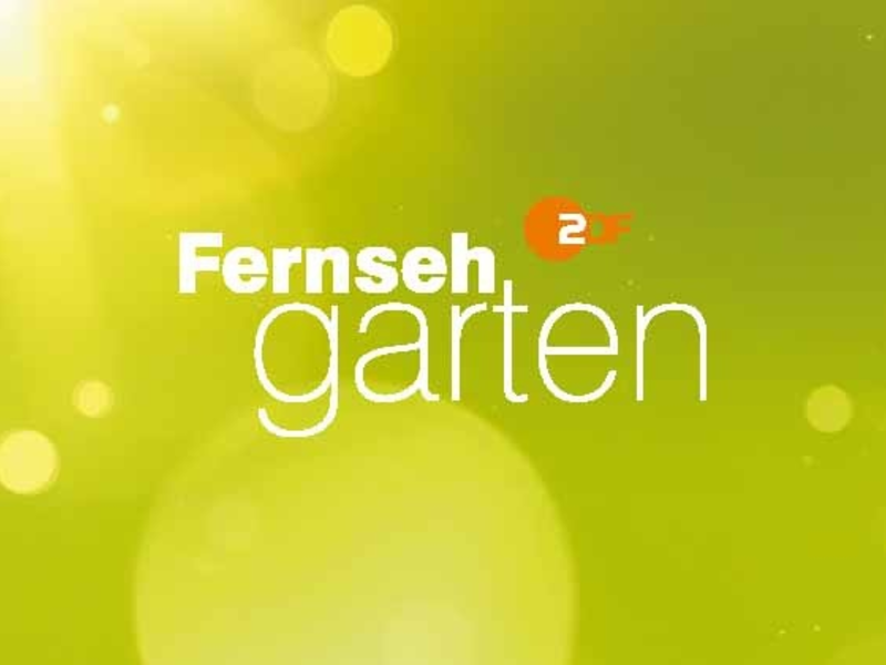 Joachim Llambi und Lutz van der Horst vertreten Andrea Kiewel im ZDF-Fernsehgarten - Foto: presseportal.de