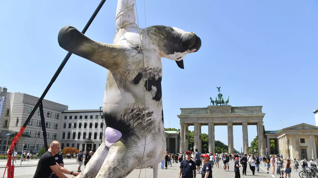 Die Aktivisten bezeichnen manche Tiertransporte als «Horrorfahrten». - Bild: Paul Zinken/dpa