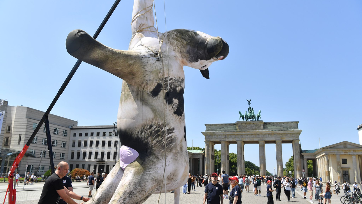 Die Aktivisten bezeichnen manche Tiertransporte als «Horrorfahrten». - Foto: Paul Zinken/dpa