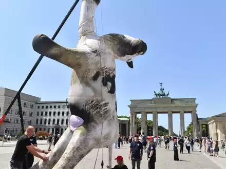 Die Aktivisten bezeichnen manche Tiertransporte als «Horrorfahrten». - Foto: Paul Zinken/dpa