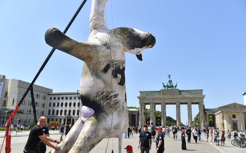 Die Aktivisten bezeichnen manche Tiertransporte als «Horrorfahrten». - Foto: Paul Zinken/dpa