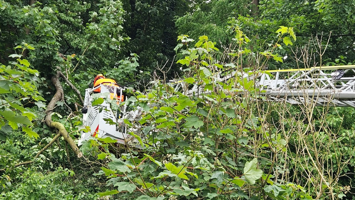 FW-EN: Wetter - Ölflecken, Heimrauchmelder, Brandmeldealarm und Gefahrenbaum - Foto: presseportal.de