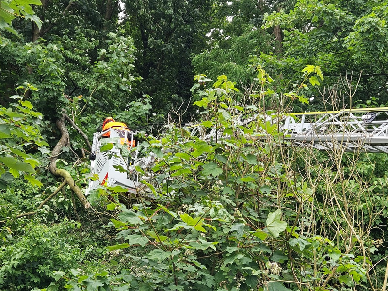 FW-EN: Wetter - Ölflecken, Heimrauchmelder, Brandmeldealarm und Gefahrenbaum - Foto: presseportal.de