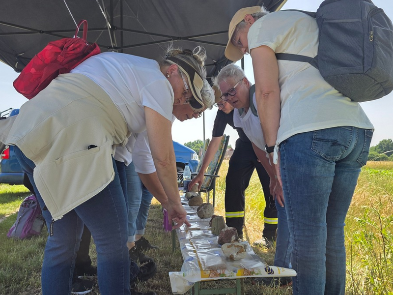 FW Celle: Leistungsmarsch und Spiel ohne Grenzen der Ortsfeuerwehr Altenhagen - Foto: presseportal.de