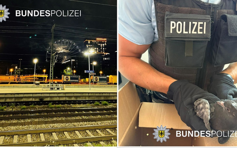 Bundespolizeidirektion München: Taubenrettung mit traurigem Ausgang - Sitzplatzstreit mit Verletzten - Foto: presseportal.de