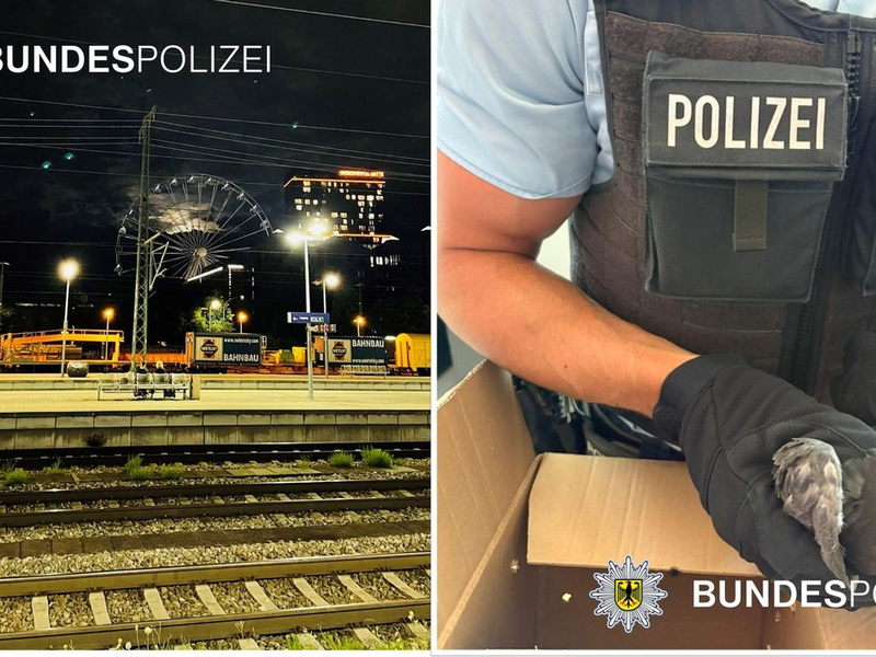 Bundespolizeidirektion München: Taubenrettung mit traurigem Ausgang - Sitzplatzstreit mit Verletzten - Foto: presseportal.de
