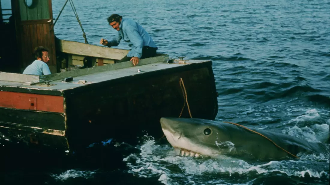 In den vergangenen Jahren ist das durch «Der weiße Hai» transportierte Bild von den Raubfischen als grausamen Fressmaschinen korrigiert worden. (Archivbild) - Bild: Universal Pictures/dpa