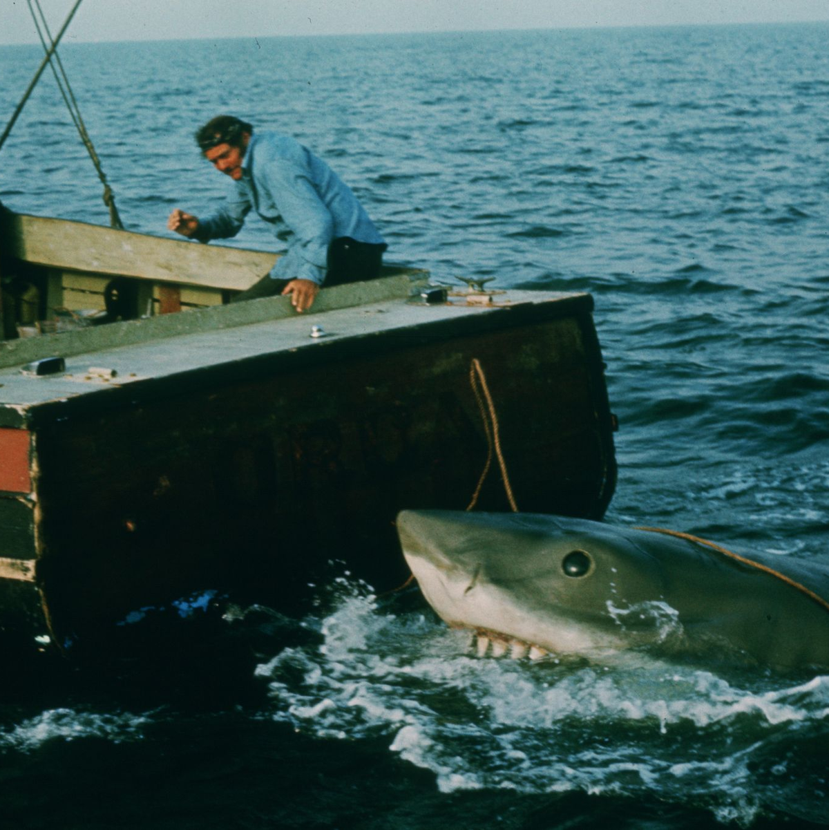 In den vergangenen Jahren ist das durch «Der weiße Hai» transportierte Bild von den Raubfischen als grausamen Fressmaschinen korrigiert worden. (Archivbild) - Foto: Universal Pictures/dpa