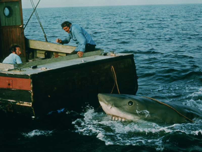 In den vergangenen Jahren ist das durch «Der weiße Hai» transportierte Bild von den Raubfischen als grausamen Fressmaschinen korrigiert worden. (Archivbild) - Foto: Universal Pictures/dpa