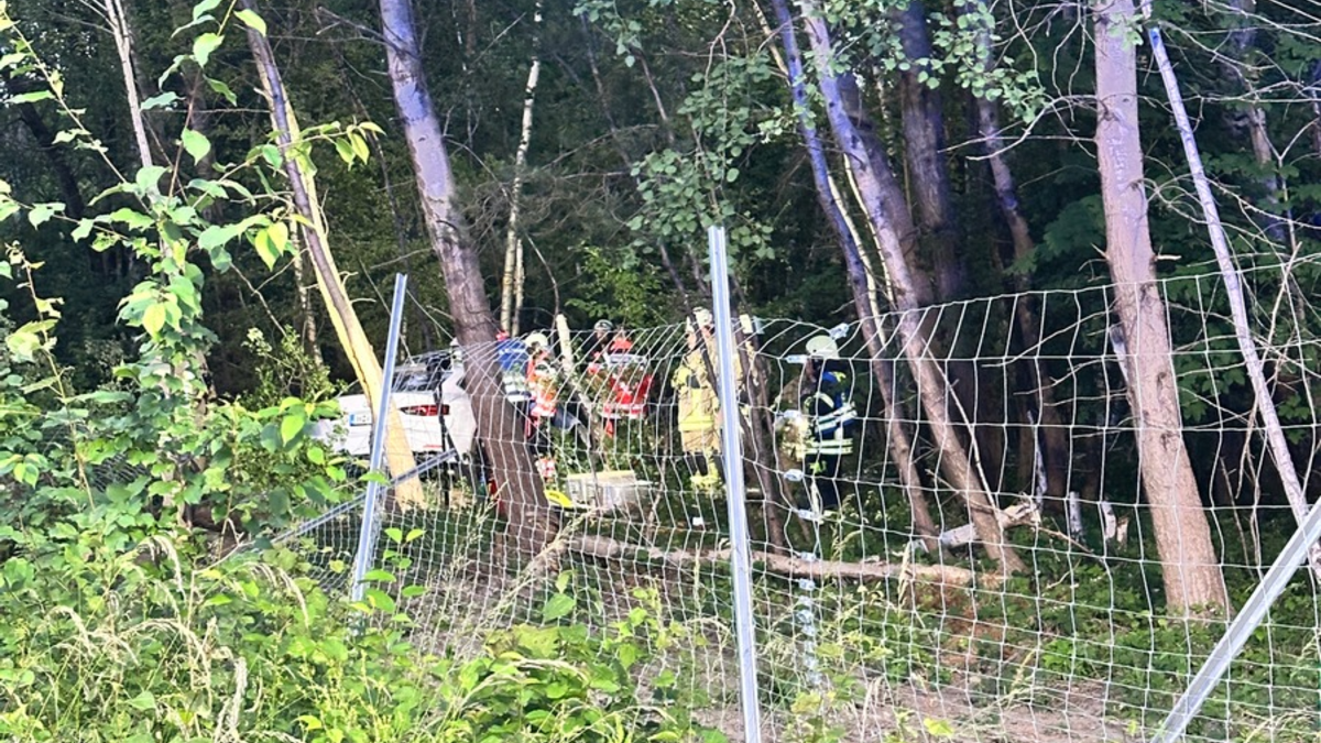 FW Helmstedt: Verkehrsunfall mit eingeklemmter Person - Foto: presseportal.de