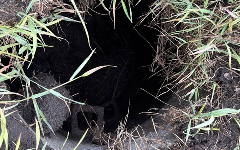 FW-OLL: Feuerwehr rettet in Schacht gestürztes Rehkitz - Foto: presseportal.de