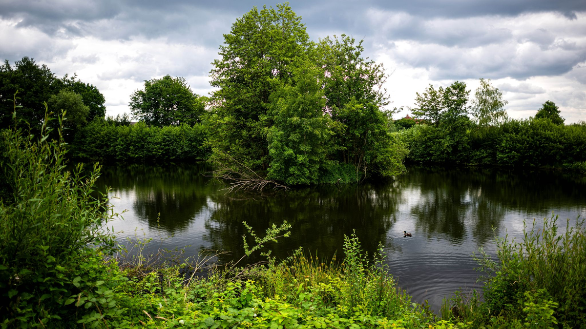 Die Absperrungen können entfernt werden. In Vechta muss kein Reptil geschützt werden.  - Foto: Sina Schuldt/dpa