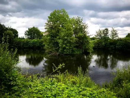 Die Absperrungen können entfernt werden. In Vechta muss kein Reptil geschützt werden. - Foto: Sina Schuldt/dpa