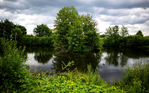 Die Absperrungen können entfernt werden. In Vechta muss kein Reptil geschützt werden.  - Foto: Sina Schuldt/dpa