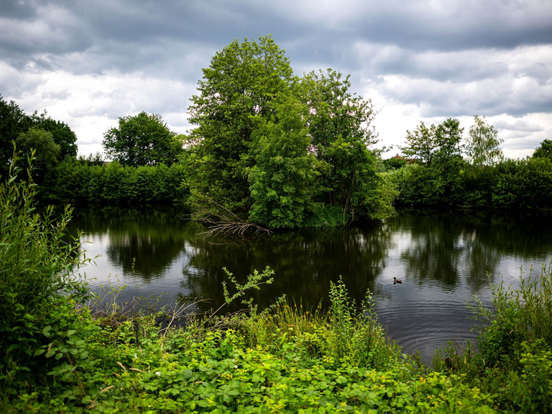 Die Absperrungen können entfernt werden. In Vechta muss kein Reptil geschützt werden.  - Foto: Sina Schuldt/dpa