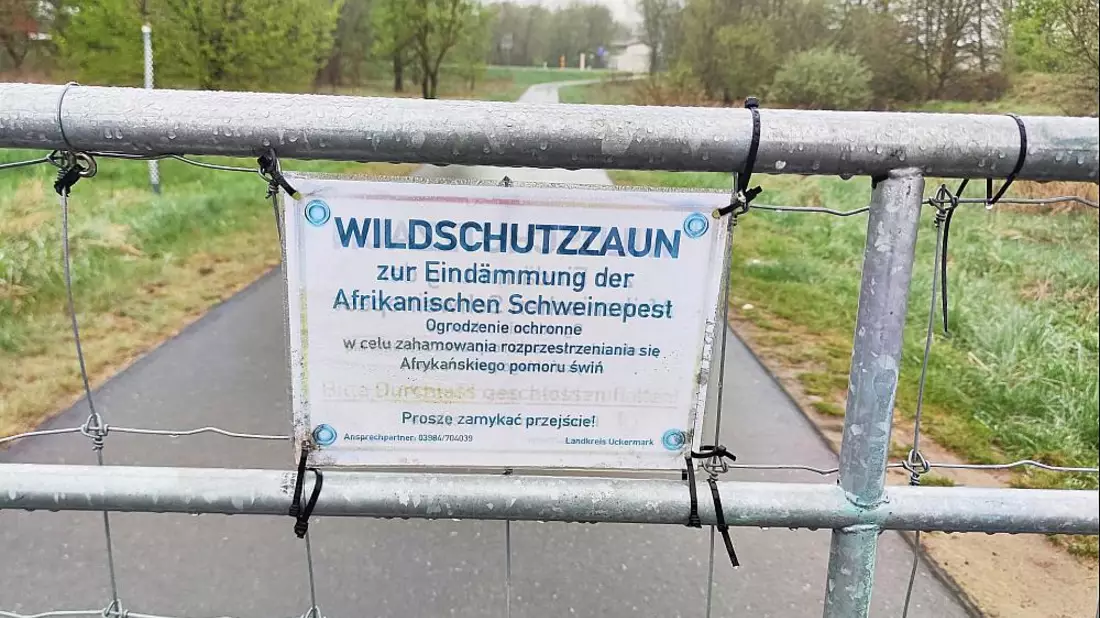 Wildschutzzaun gegen Afrikanische Schweinepest (Archiv) - Bild: über dts Nachrichtenagentur