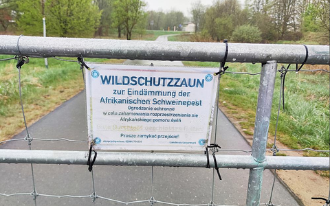 Wildschutzzaun gegen Afrikanische Schweinepest (Archiv) - Foto: über dts Nachrichtenagentur