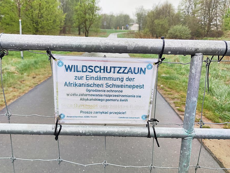 Wildschutzzaun gegen Afrikanische Schweinepest (Archiv) - Foto: über dts Nachrichtenagentur