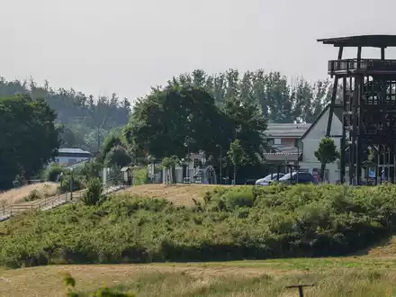 Ein neues Video von einer vermeintlichen Raubkatze zeigt ein wesentlich kleineres Tier. Um welches Tier es sich genau handelt, stand laut Landratsamt am Mittwochmorgen noch nicht zweifelsfrei fest. - Foto: Jan Woitas/dpa