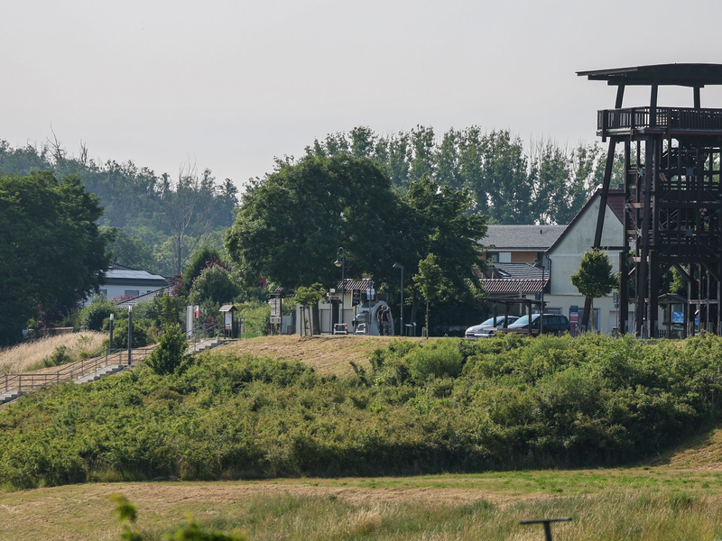 Streift ein Puma durch Braunsbedra? Für den Bürgermeister der Gemeinde Steffen Schmitz (CDU) ist die Frage geklärt. Eine Nachstellung vor Ort habe gezeigt: Das Tier ist kleiner, als zunächst angenommen. - Foto: Jan Woitas/dpa