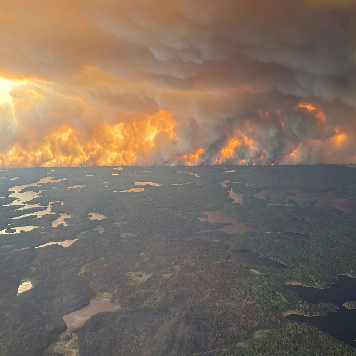 Zum Thema Waldbrände konnte sich die Gipfel-Teilnehmer auf eine gemeinsame Erklärung einigen. Wegen US-Präsident Donald Trump gibt es allerdings keine explizite Erwähnung des Klimawandels. (Archivbild) - Foto: Uncredited/Manitoba government/AP/dpa