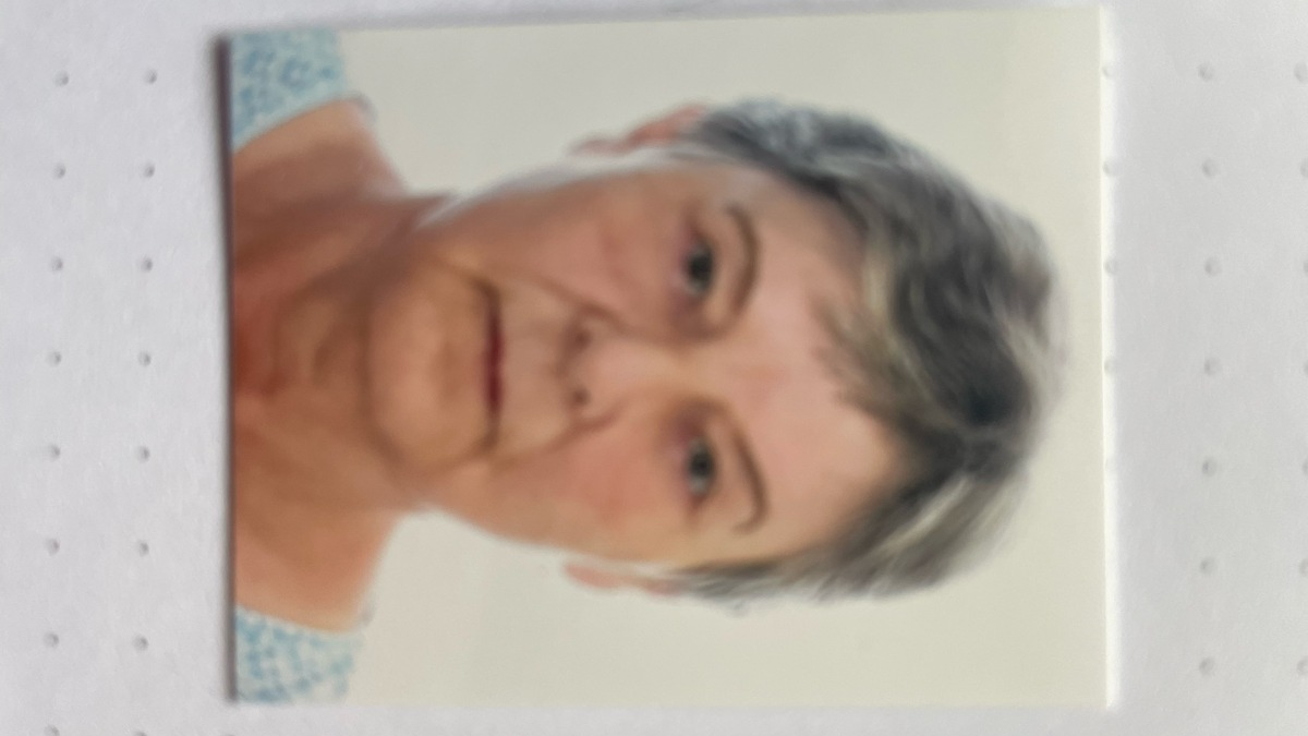 LPI-SHL: Öffentlichkeitsfahndung - Polizei bittet um Mithilfe - Foto: presseportal.de