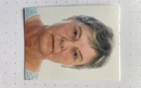 LPI-SHL: Öffentlichkeitsfahndung - Polizei bittet um Mithilfe - Foto: presseportal.de