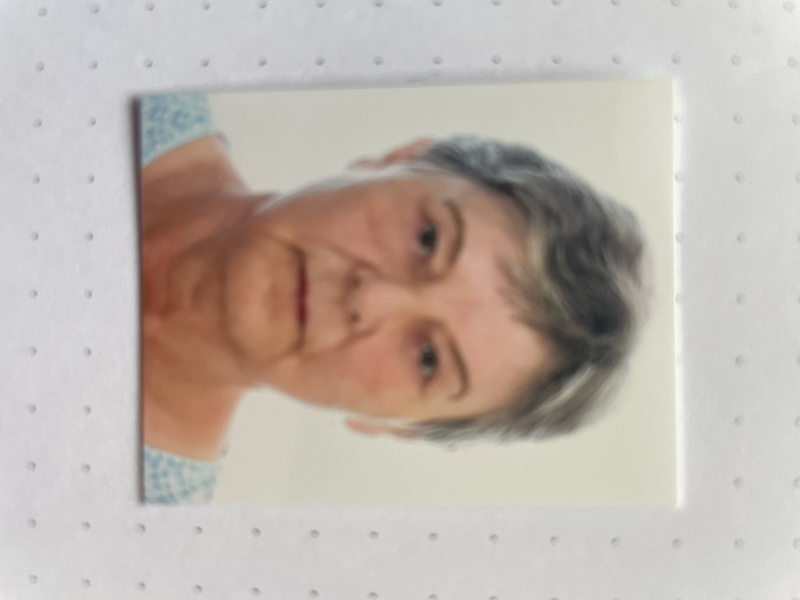 LPI-SHL: Öffentlichkeitsfahndung - Polizei bittet um Mithilfe - Foto: presseportal.de