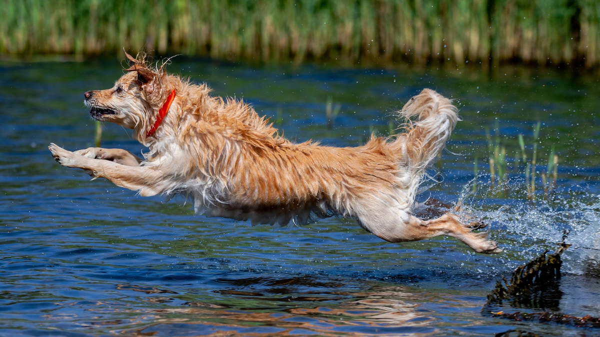 Am Sonntag nimmt dann die Wärmebelastung deutlich zu. (Archivbild) - Foto: Hauke-Christian Dittrich/dpa
